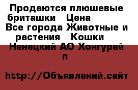 Продаются плюшевые бриташки › Цена ­ 2 500 - Все города Животные и растения » Кошки   . Ненецкий АО,Хонгурей п.